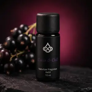 Drip of Infinity Cassis & Chill Nebulizer Nachfüllflasche Nahaufnahme mit Cassis-Beeren, fruchtig-herber Raumduft aus Wien