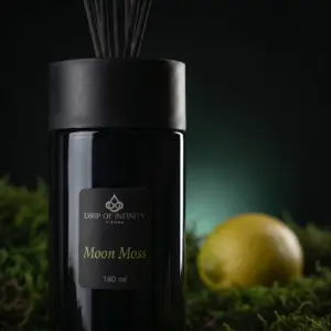 Drip of Infinity Moon Moss Reed Diffuser Wien, kühl-waldiger Raumduft mit Moos und Zitrus